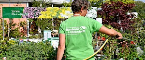 Mitarbeiterin von Bandelow und Uhlendorff wässert Pflanzen im Gartencenter