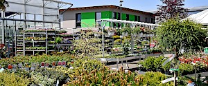 Pflanzencenter Bandelow + Uhlendorff in Rosdorf bei Göttingen