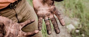 Dreckige Hände von Gartenarbeit